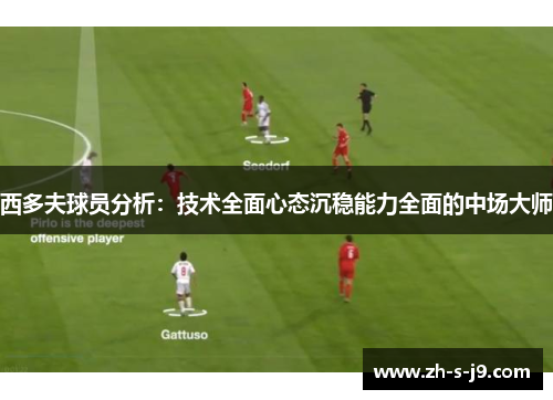西多夫球员分析:技术全面心态沉稳能力全面的中场大师 西多夫球员分析:技术全面心态沉稳能力全面的中场大师
