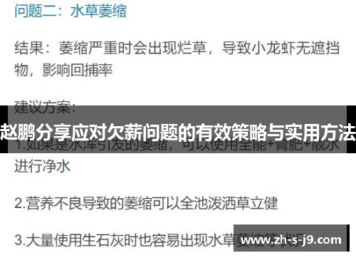 赵鹏分享应对欠薪问题的有效策略与实用方法