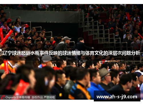 辽宁球迷怒砸水瓶事件反映的球迷情绪与体育文化的深层次问题分析 辽宁球迷怒砸水瓶事件反映的球迷情绪与体育文化的深层次问题分析