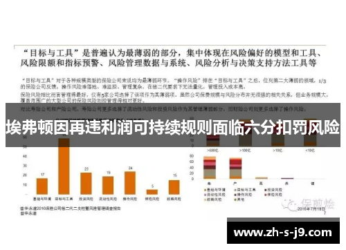 埃弗顿因再违利润可持续规则面临六分扣罚风险 埃弗顿因再违利润可持续规则面临六分扣罚风险