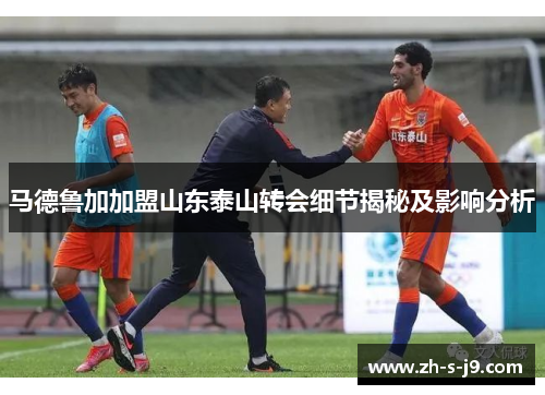 马德鲁加加盟山东泰山转会细节揭秘及影响分析 马德鲁加加盟山东泰山转会细节揭秘及影响分析