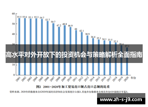 高水平对外开放下的投资机会与策略解析全面指南 高水平对外开放下的投资机会与策略解析全面指南